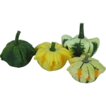 Daisy Gourd